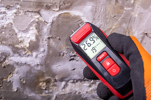 Best Crawl Space Mold Removal  in Hillcrest, NY